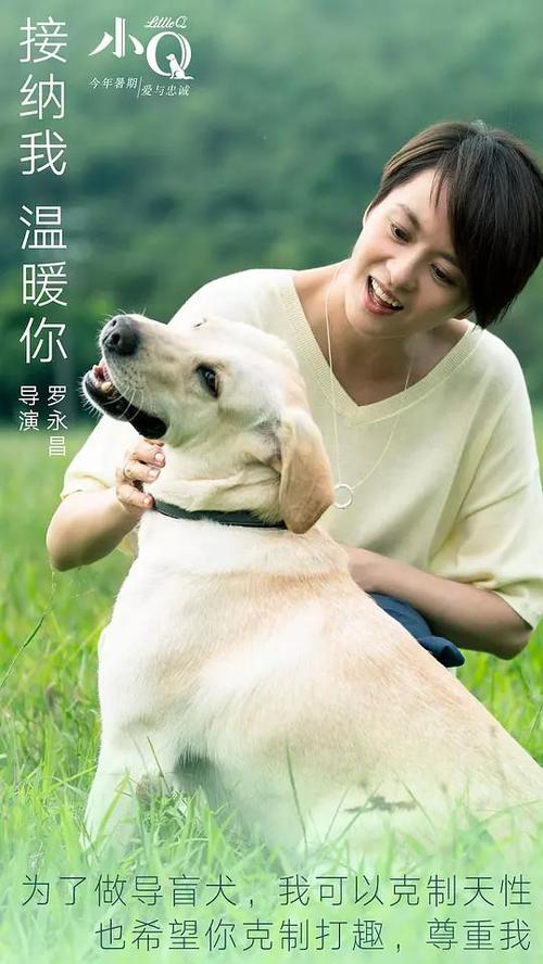 荷兰留学存款证明可以用人民币